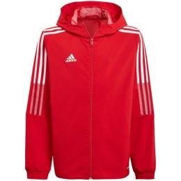 Adidas striukė